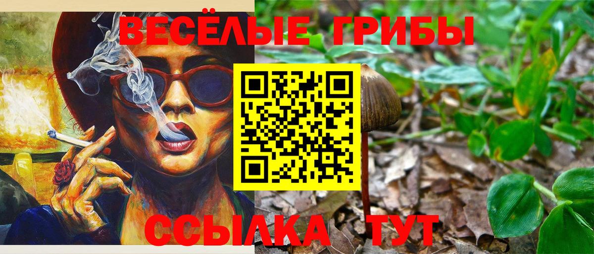 Псилоцибиновые грибы прущие грибы Северск