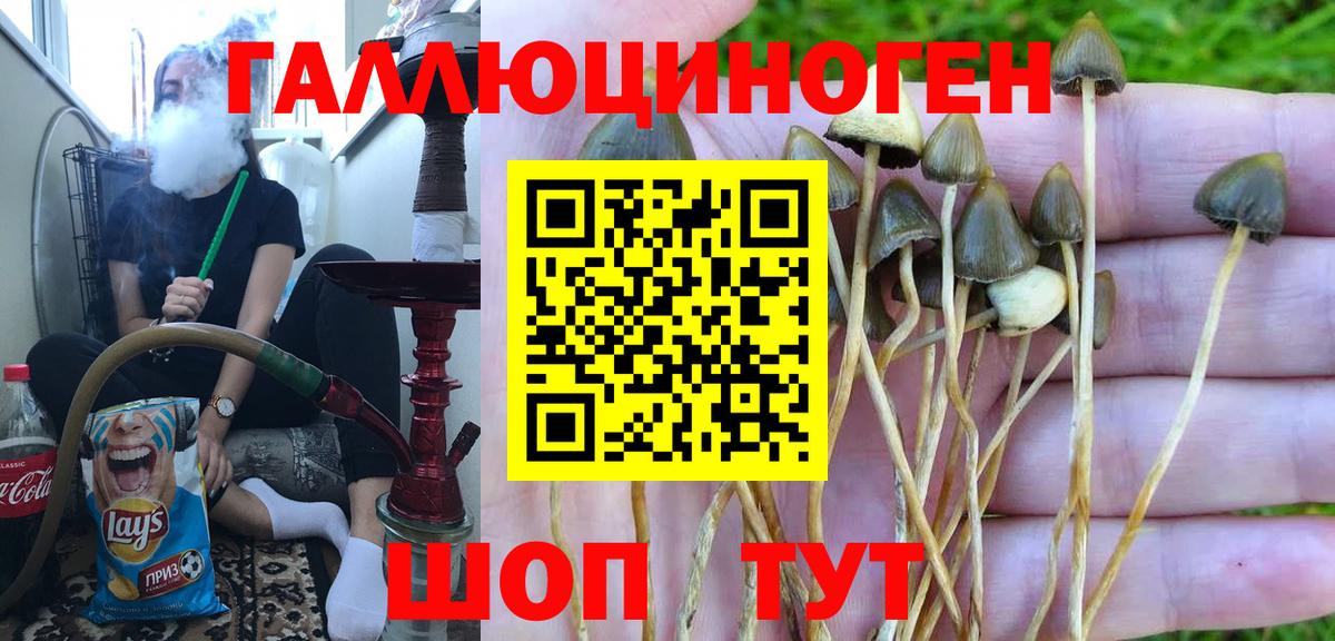 Псилоцибиновые грибы мухоморы  Вход с VPN  Псилоцибиновые грибы Magic Shrooms  Северск 